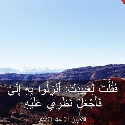 Picture 03 - اَلتَّكْوِينُ 44:21 AVD - فَقُلْتَ لِعَبِيدِكَ: - Bible Verse Picture