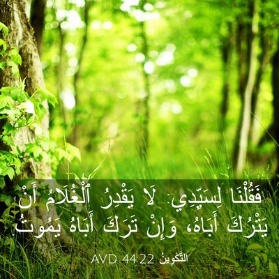 Picture 03 - اَلتَّكْوِينُ 44:22 AVD - فَقُلْنَا لِسَيِّدِي: لَا - Bible Verse Picture