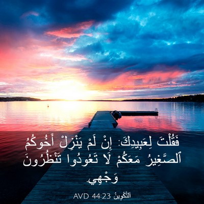 Picture 03 - اَلتَّكْوِينُ 44:23 AVD - فَقُلْتَ لِعَبِيدِكَ: إِنْ - Bible Verse Picture