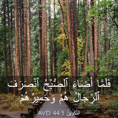 Picture 03 - اَلتَّكْوِينُ 44:3 AVD - فَلَمَّا أَضَاءَ - Bible Verse Picture