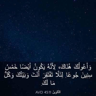 Picture 03 - اَلتَّكْوِينُ 45:11 AVD - وَأَعُولُكَ هُنَاكَ، - Bible Verse Picture