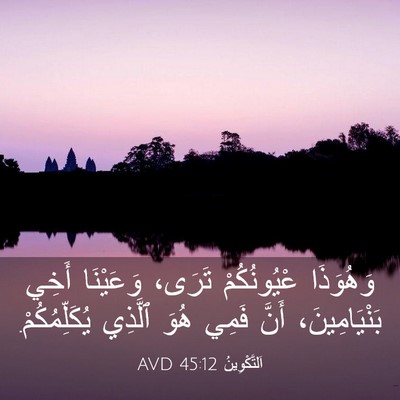 Picture 03 - اَلتَّكْوِينُ 45:12 AVD - وَهُوَذَا عْيُونُكُمْ - Bible Verse Picture