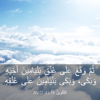 Picture 03 - اَلتَّكْوِينُ 45:14 AVD - ثُمَّ وَقَعَ عَلَى عُنُقِ - Bible Verse Picture