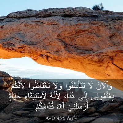 Picture 03 - اَلتَّكْوِينُ 45:5 AVD - وَٱلْآنَ لَا - Bible Verse Picture