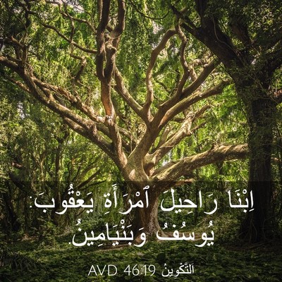 Picture 03 - اَلتَّكْوِينُ 46:19 AVD - اِبْنَا رَاحِيلَ - Bible Verse Picture
