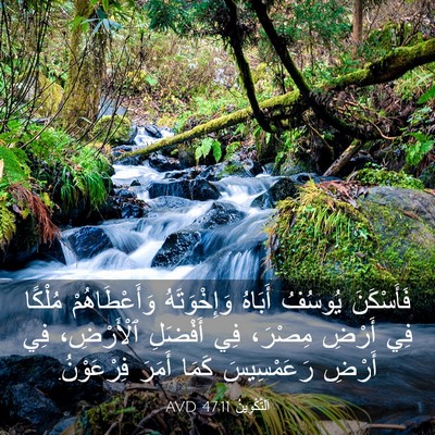 Picture 03 - اَلتَّكْوِينُ 47:11 AVD - فَأَسْكَنَ يُوسُفُ - Bible Verse Picture