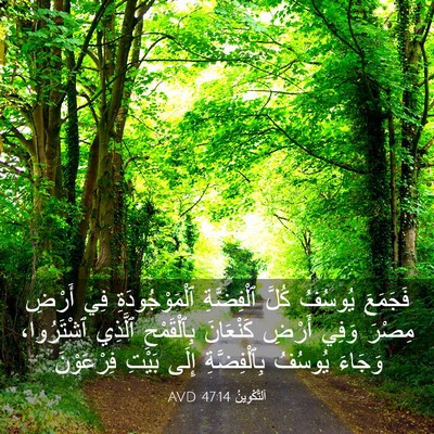 Picture 03 - اَلتَّكْوِينُ 47:14 AVD - فَجَمَعَ يُوسُفُ كُلَّ - Bible Verse Picture