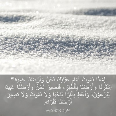 Picture 03 - اَلتَّكْوِينُ 47:19 AVD - لِمَاذَا نَمُوتُ أَمَامَ - Bible Verse Picture