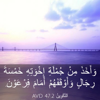 Picture 03 - اَلتَّكْوِينُ 47:2 AVD - وَأَخَذَ مِنْ جُمْلَةِ - Bible Verse Picture