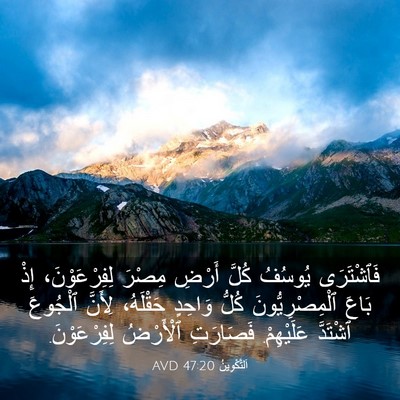 Picture 03 - اَلتَّكْوِينُ 47:20 AVD - فَٱشْتَرَى يُوسُفُ كُلَّ - Bible Verse Picture