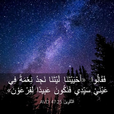 Picture 03 - اَلتَّكْوِينُ 47:25 AVD - فَقَالُوا: «أَحْيَيْتَنَا. - Bible Verse Picture