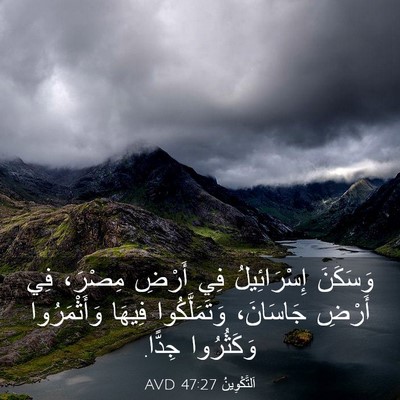 Picture 03 - اَلتَّكْوِينُ 47:27 AVD - وَسَكَنَ إِسْرَائِيلُ فِي - Bible Verse Picture