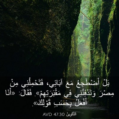 Picture 03 - اَلتَّكْوِينُ 47:30 AVD - بَلْ أَضْطَجِعُ مَعَ - Bible Verse Picture