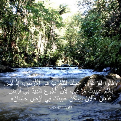 Picture 03 - اَلتَّكْوِينُ 47:4 AVD - وَقَالُوا لِفِرْعَوْنَ: - Bible Verse Picture