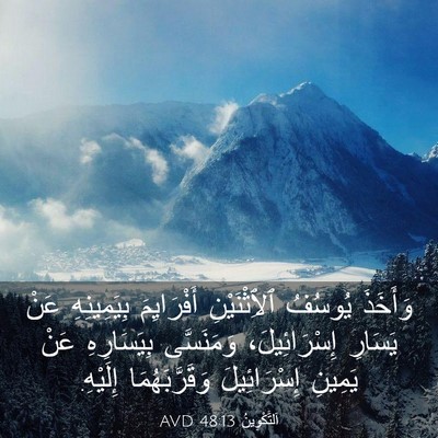 Picture 03 - اَلتَّكْوِينُ 48:13 AVD - وَأَخَذَ يُوسُفُ - Bible Verse Picture