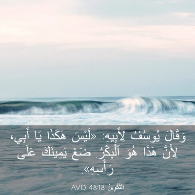 Picture 03 - اَلتَّكْوِينُ 48:18 AVD - وَقَالَ يُوسُفُ لِأَبِيهِ: - Bible Verse Picture