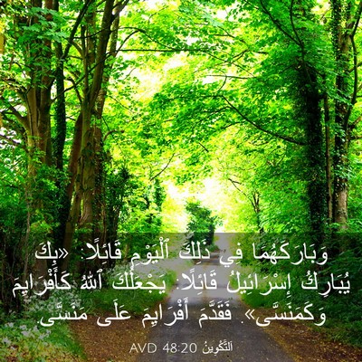 Picture 03 - اَلتَّكْوِينُ 48:20 AVD - وَبَارَكَهُمَا فِي ذَلِكَ - Bible Verse Picture