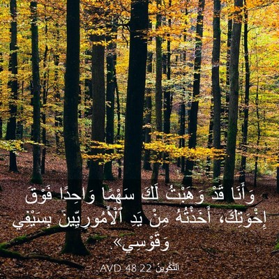 Picture 03 - اَلتَّكْوِينُ 48:22 AVD - وَأَنَا قَدْ وَهَبْتُ لَكَ - Bible Verse Picture