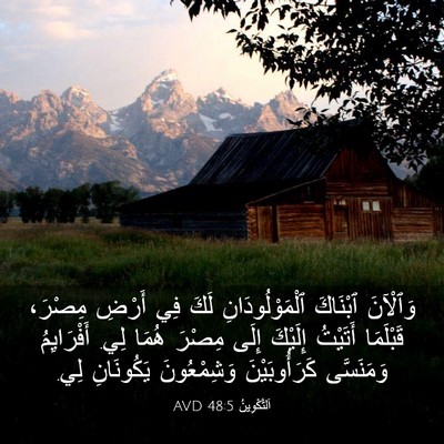 Picture 03 - اَلتَّكْوِينُ 48:5 AVD - وَٱلْآنَ ٱبْنَاكَ - Bible Verse Picture