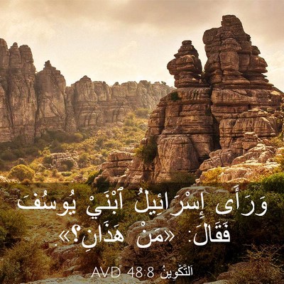 Picture 03 - اَلتَّكْوِينُ 48:8 AVD - وَرَأَى إِسْرَائِيلُ - Bible Verse Picture
