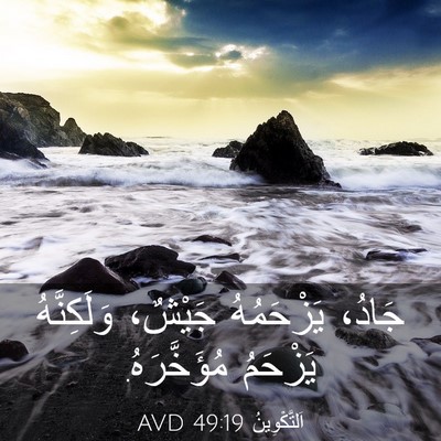 Picture 03 - اَلتَّكْوِينُ 49:19 AVD - جَادُ، يَزْحَمُهُ جَيْشٌ، - Bible Verse Picture