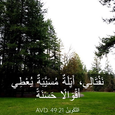 Picture 03 - اَلتَّكْوِينُ 49:21 AVD - نَفْتَالِي، أَيِّلَةٌ - Bible Verse Picture