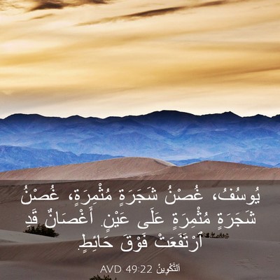 Picture 03 - اَلتَّكْوِينُ 49:22 AVD - يُوسُفُ، غُصْنُ شَجَرَةٍ - Bible Verse Picture