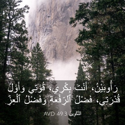 Picture 03 - اَلتَّكْوِينُ 49:3 AVD - رَأُوبَيْنُ، أَنْتَ - Bible Verse Picture