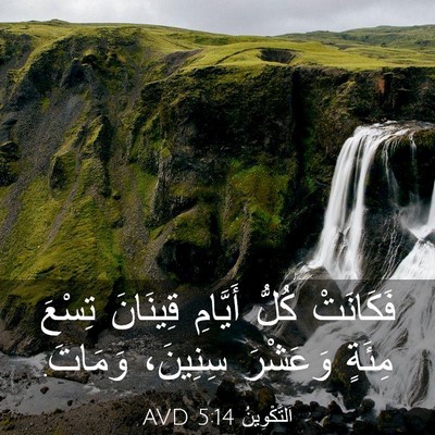 Picture 03 - اَلتَّكْوِينُ 5:14 AVD - فَكَانَتْ كُلُّ أَيَّامِ - Bible Verse Picture