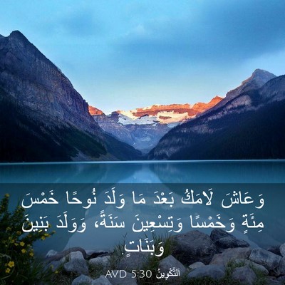 Picture 03 - اَلتَّكْوِينُ 5:30 AVD - وَعَاشَ لَامَكُ بَعْدَ مَا - Bible Verse Picture