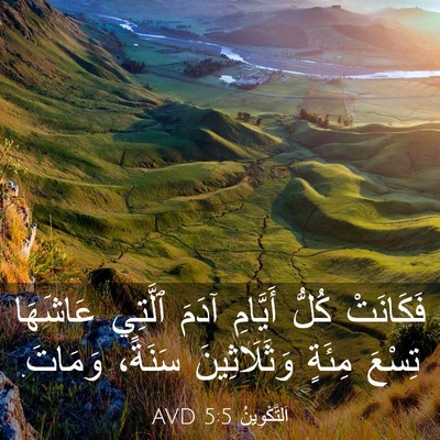 Picture 03 - اَلتَّكْوِينُ 5:5 AVD - فَكَانَتْ كُلُّ أَيَّامِ - Bible Verse Picture