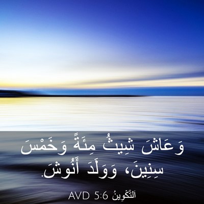 Picture 03 - اَلتَّكْوِينُ 5:6 AVD - وَعَاشَ شِيثُ مِئَةً - Bible Verse Picture