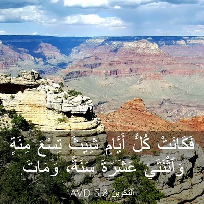 Picture 03 - اَلتَّكْوِينُ 5:8 AVD - فَكَانَتْ كُلُّ أَيَّامِ - Bible Verse Picture