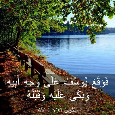 Picture 03 - اَلتَّكْوِينُ 50:1 AVD - فَوَقَعَ يُوسُفُ عَلَى - Bible Verse Picture