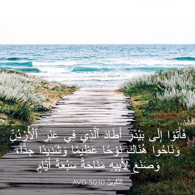 Picture 03 - اَلتَّكْوِينُ 50:10 AVD - فَأَتَوْا إِلَى بَيْدَرِ - Bible Verse Picture