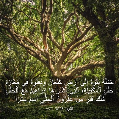 Picture 03 - اَلتَّكْوِينُ 50:13 AVD - حَمَلَهُ بَنُوهُ إِلَى - Bible Verse Picture