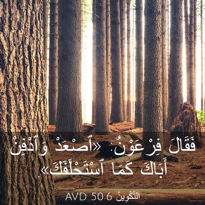 Picture 03 - اَلتَّكْوِينُ 50:6 AVD - فَقَالَ فِرْعَوْنُ: - Bible Verse Picture