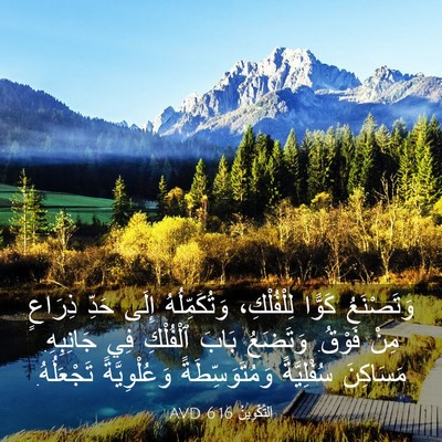 Picture 03 - اَلتَّكْوِينُ 6:16 AVD - وَتَصْنَعُ كَوًّا - Bible Verse Picture