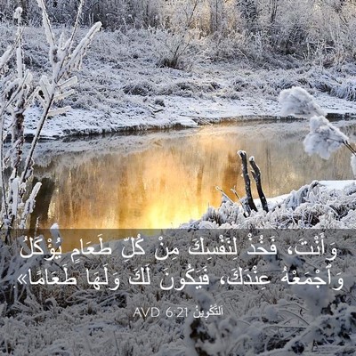 Picture 03 - اَلتَّكْوِينُ 6:21 AVD - وَأَنْتَ، فَخُذْ - Bible Verse Picture
