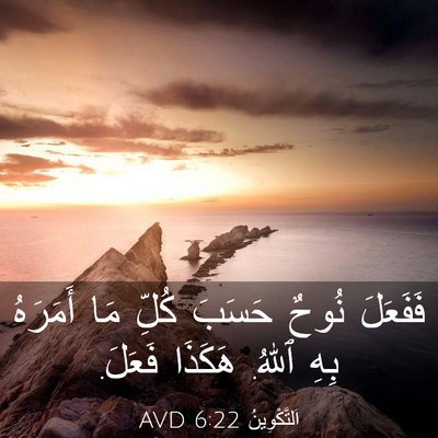Picture 03 - اَلتَّكْوِينُ 6:22 AVD - فَفَعَلَ نُوحٌ حَسَبَ - Bible Verse Picture