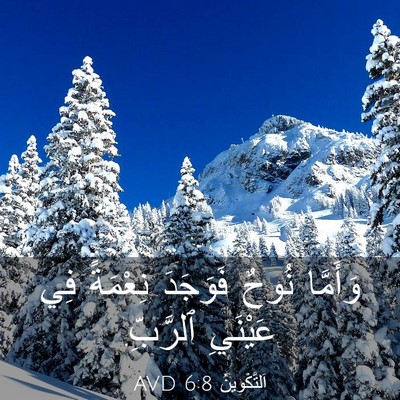 Picture 03 - اَلتَّكْوِينُ 6:8 AVD - وَأَمَّا نُوحٌ فَوَجَدَ - Bible Verse Picture