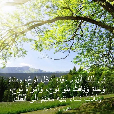 Picture 03 - اَلتَّكْوِينُ 7:13 AVD - فِي ذَلِكَ ٱلْيَوْمِ - Bible Verse Picture