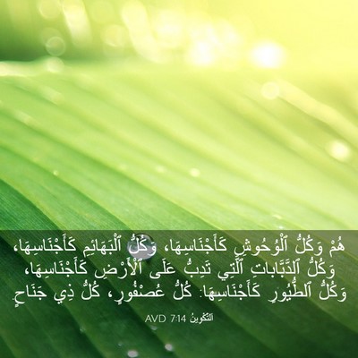 Picture 03 - اَلتَّكْوِينُ 7:14 AVD - هُمْ وَكُلُّ ٱلْوُحُوشِ - Bible Verse Picture