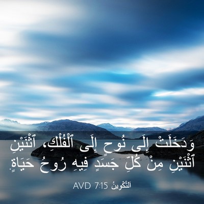 Picture 03 - اَلتَّكْوِينُ 7:15 AVD - وَدَخَلَتْ إِلَى نُوحٍ - Bible Verse Picture