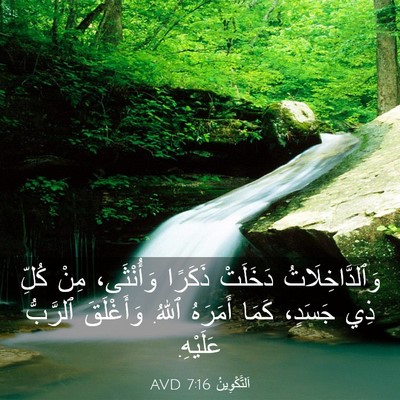 Picture 03 - اَلتَّكْوِينُ 7:16 AVD - وَٱلدَّاخِلَاتُ دَخَلَتْ - Bible Verse Picture