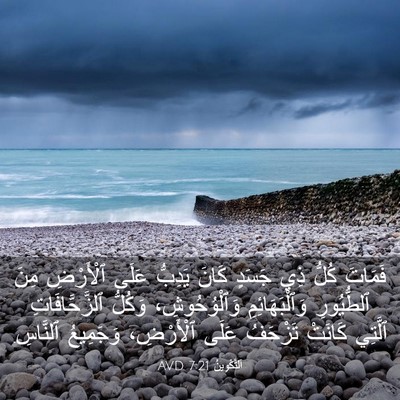 Picture 03 - اَلتَّكْوِينُ 7:21 AVD - فَمَاتَ كُلُّ ذِي جَسَدٍ - Bible Verse Picture