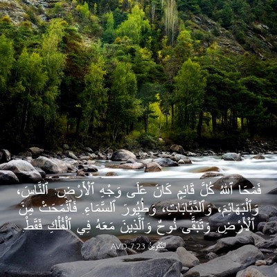 Picture 03 - اَلتَّكْوِينُ 7:23 AVD - فَمَحَا ٱللهُ كُلَّ - Bible Verse Picture
