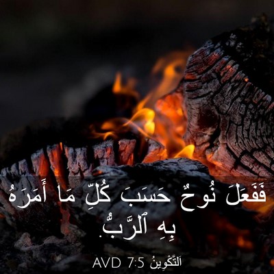 Picture 03 - اَلتَّكْوِينُ 7:5 AVD - فَفَعَلَ نُوحٌ حَسَبَ - Bible Verse Picture