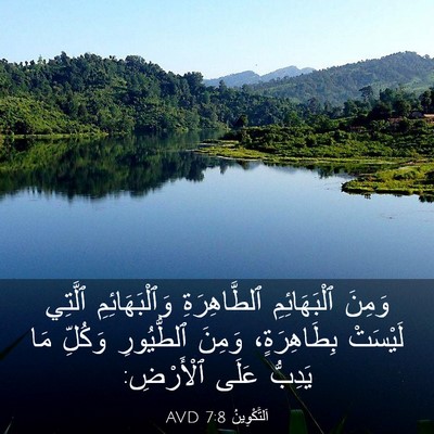 Picture 03 - اَلتَّكْوِينُ 7:8 AVD - وَمِنَ ٱلْبَهَائِمِ - Bible Verse Picture