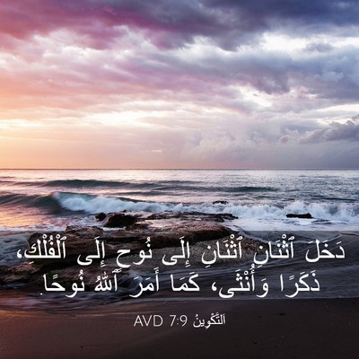 Picture 03 - اَلتَّكْوِينُ 7:9 AVD - دَخَلَ ٱثْنَانِ ٱثْنَانِ - Bible Verse Picture